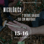 EXPERIENCIA MICOLÓGICA