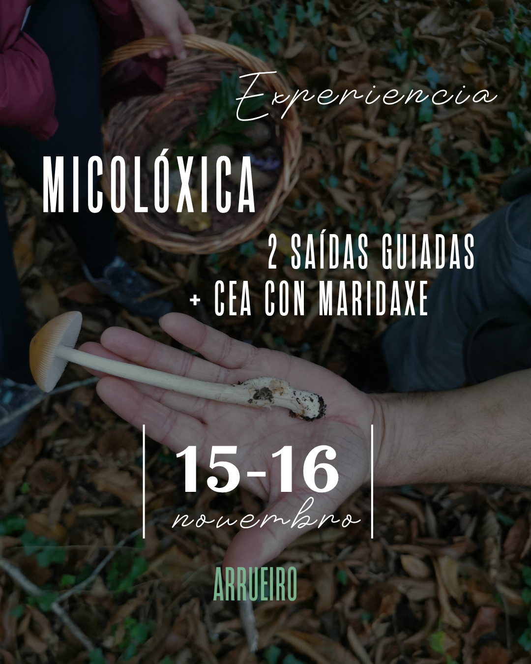 EXPERIENCIA MICOLÓGICA