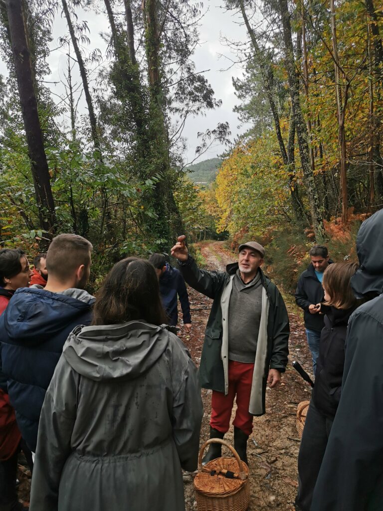 Salida guiada por Juan Carlos Laboura a por setas en el entorno de casa rural Arrueiro